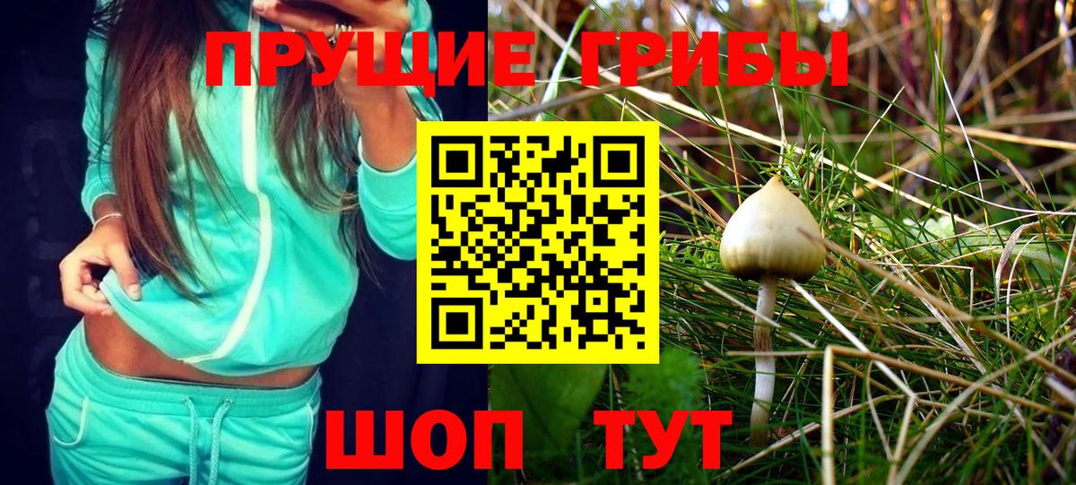 Псилоцибиновые грибы GOLDEN TEACHER Феодосия