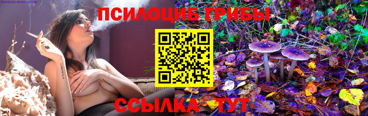 Галлюциногенные грибы Psilocybine cubensis  Вход с VPN  Феодосия 
